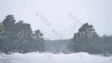 暴<strong>风雪</strong>，暴<strong>风雪</strong>，树林，冬天下雪，圣诞树和自然松林景观